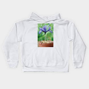 Iris histrioides  &#39;Lady Beatrix Stanley&#39; Kids Hoodie